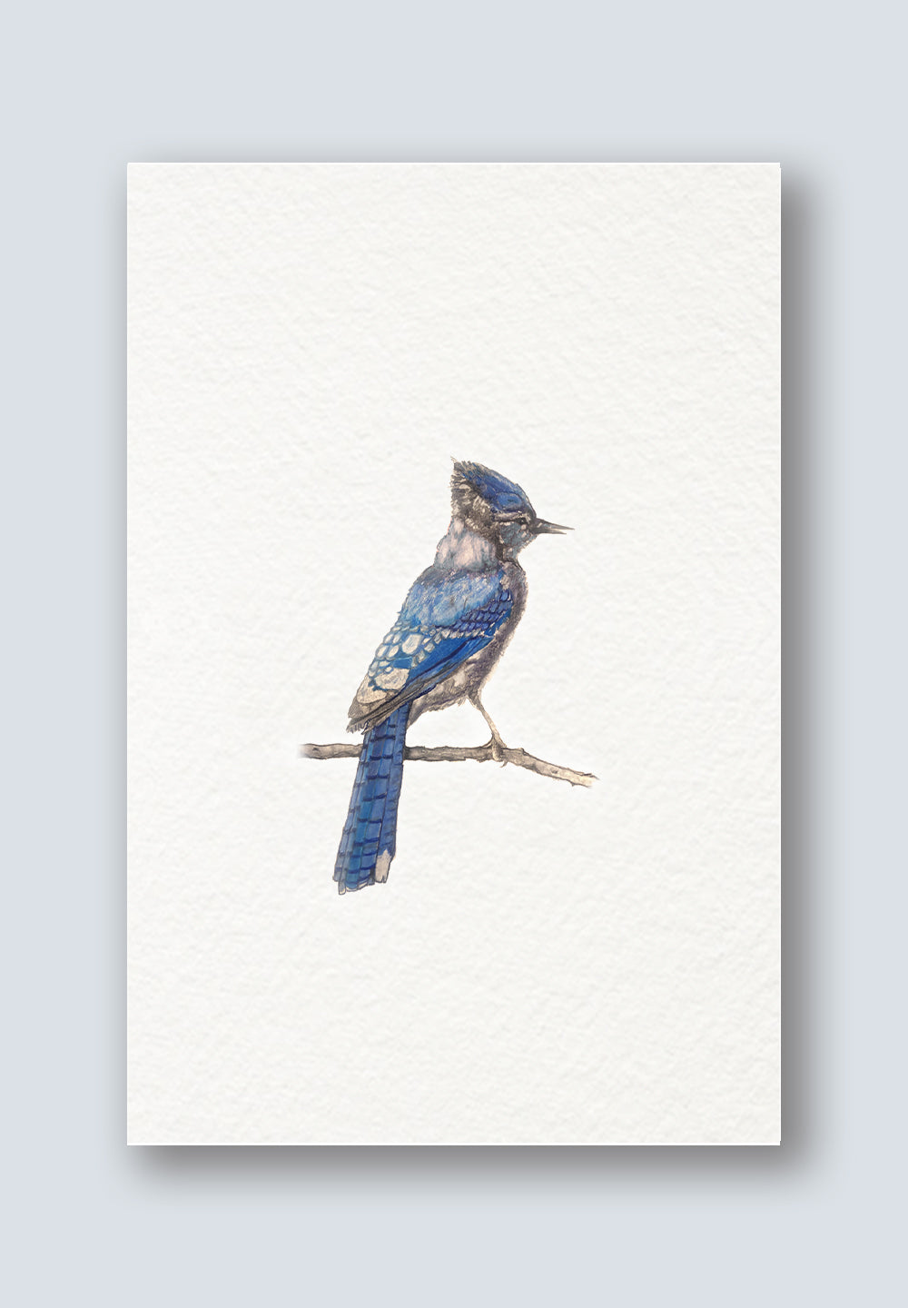 Bird Sighting Greeting Cards