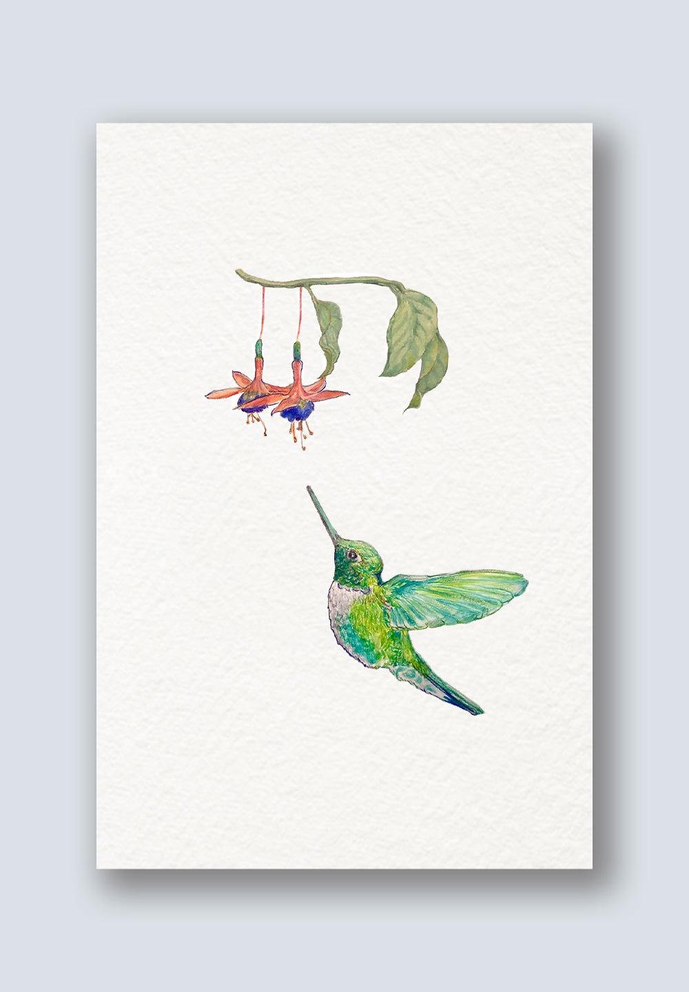 Bird Sighting Greeting Cards