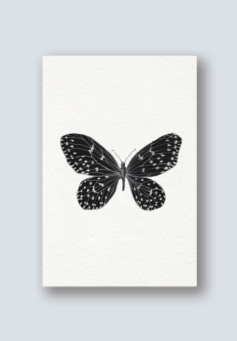 AR Interactive Butterfly Thank You Card - Graduation
