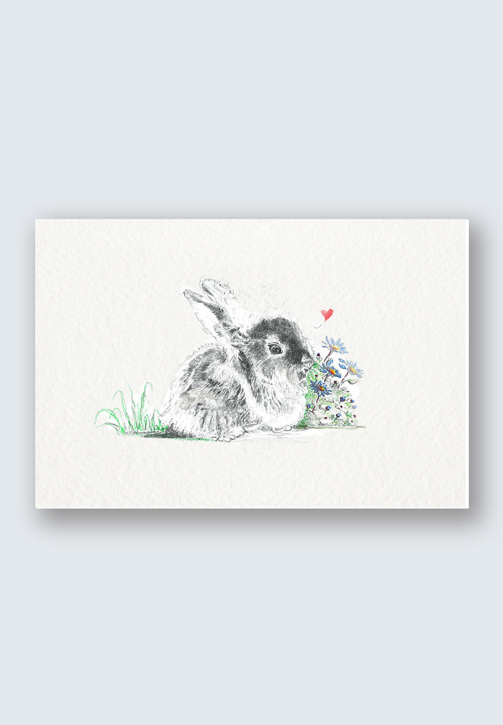 Valentine's Day Greeting Cards