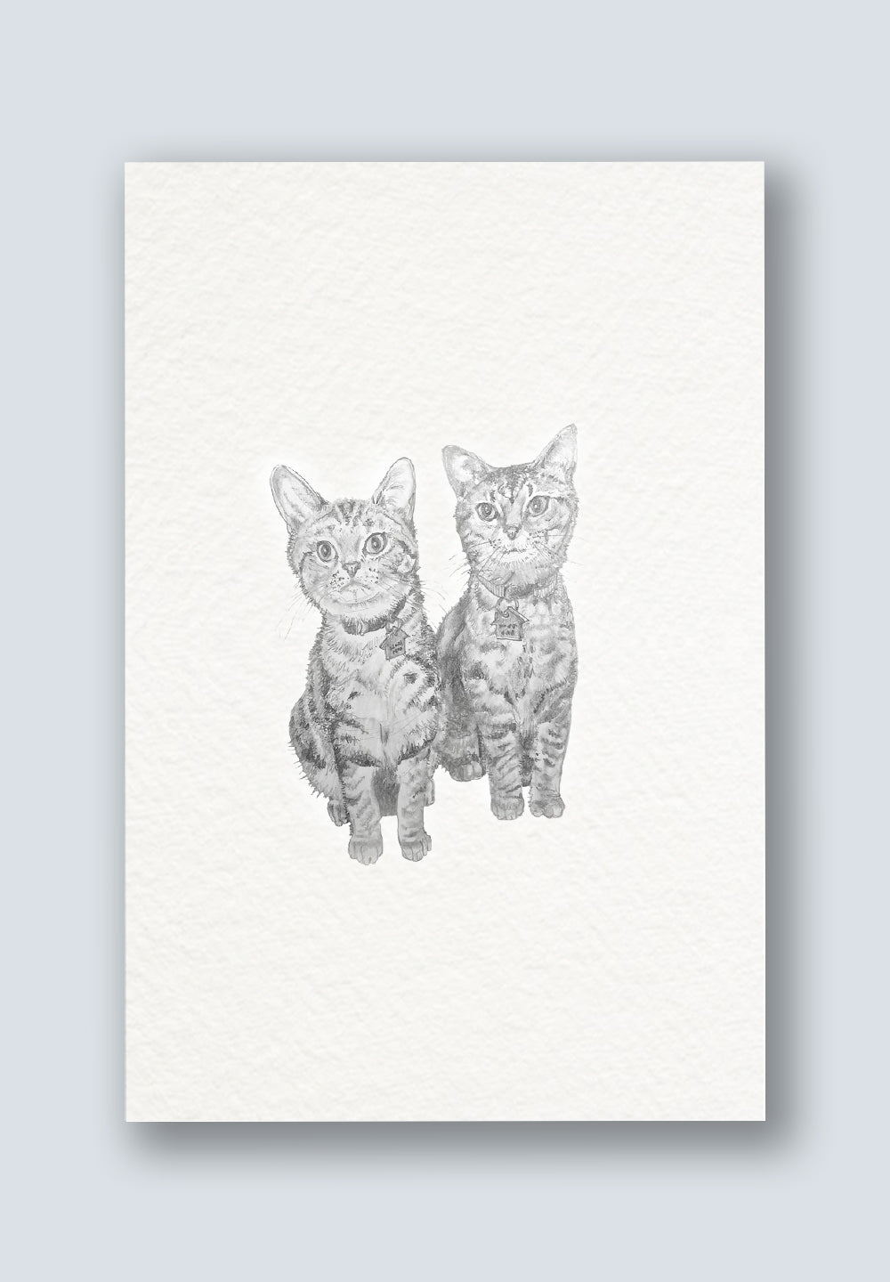 Cute Cat Greeting Cards