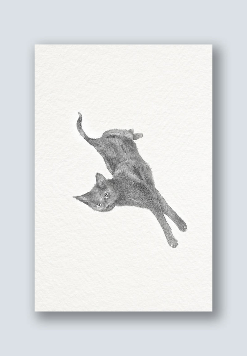 Oscar the Black Cat Greeting Card
