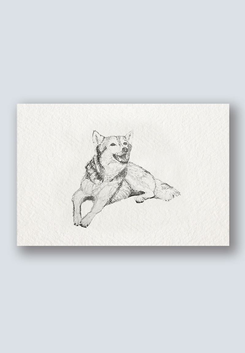 Max Greeting Card