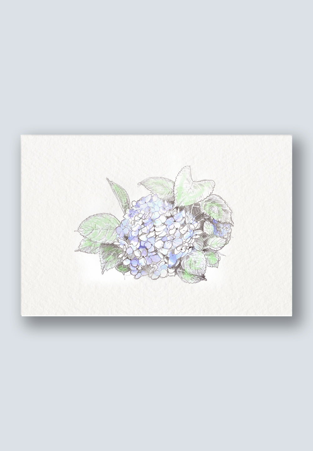 Flower Greeting Cards