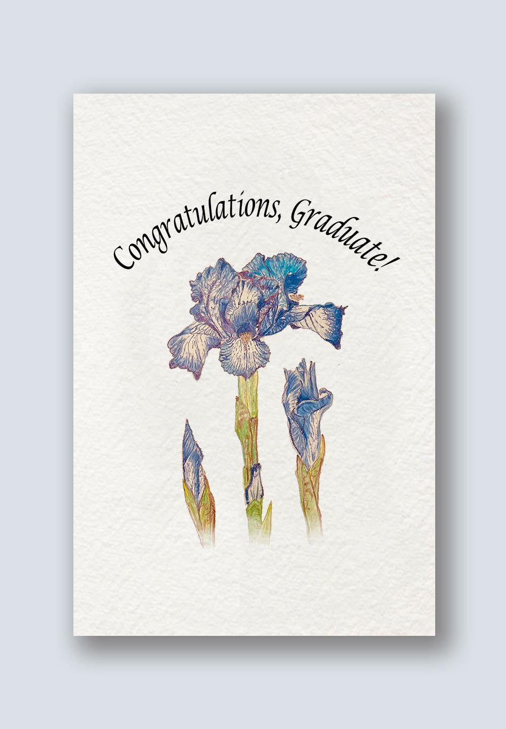 Iris Flower Greeting Cards