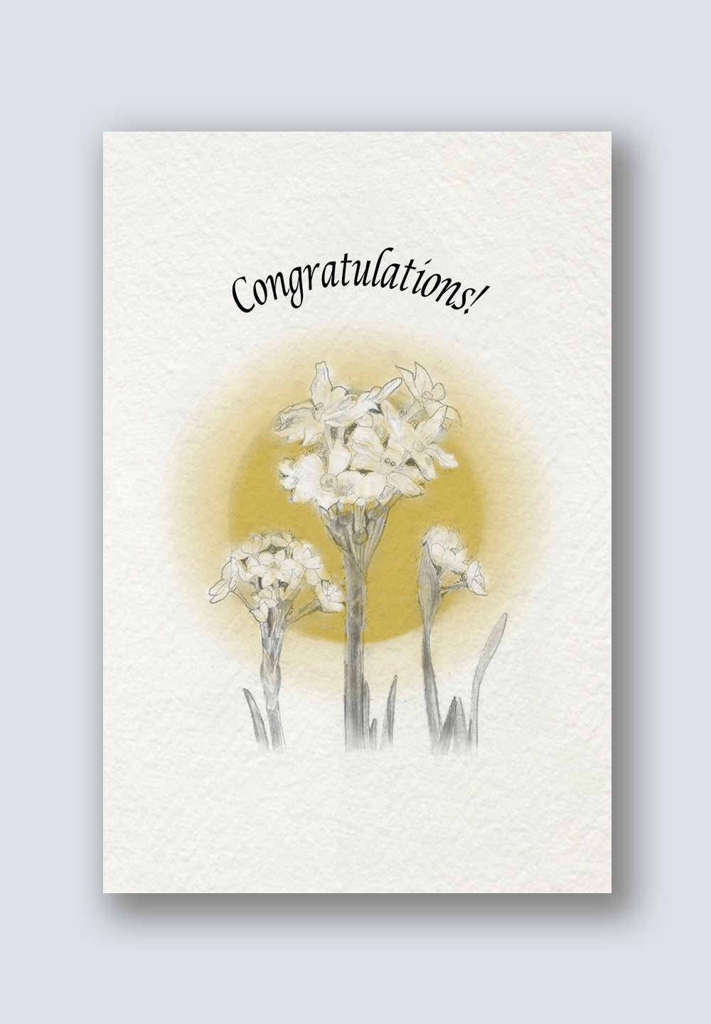 Lily Greeting Cards