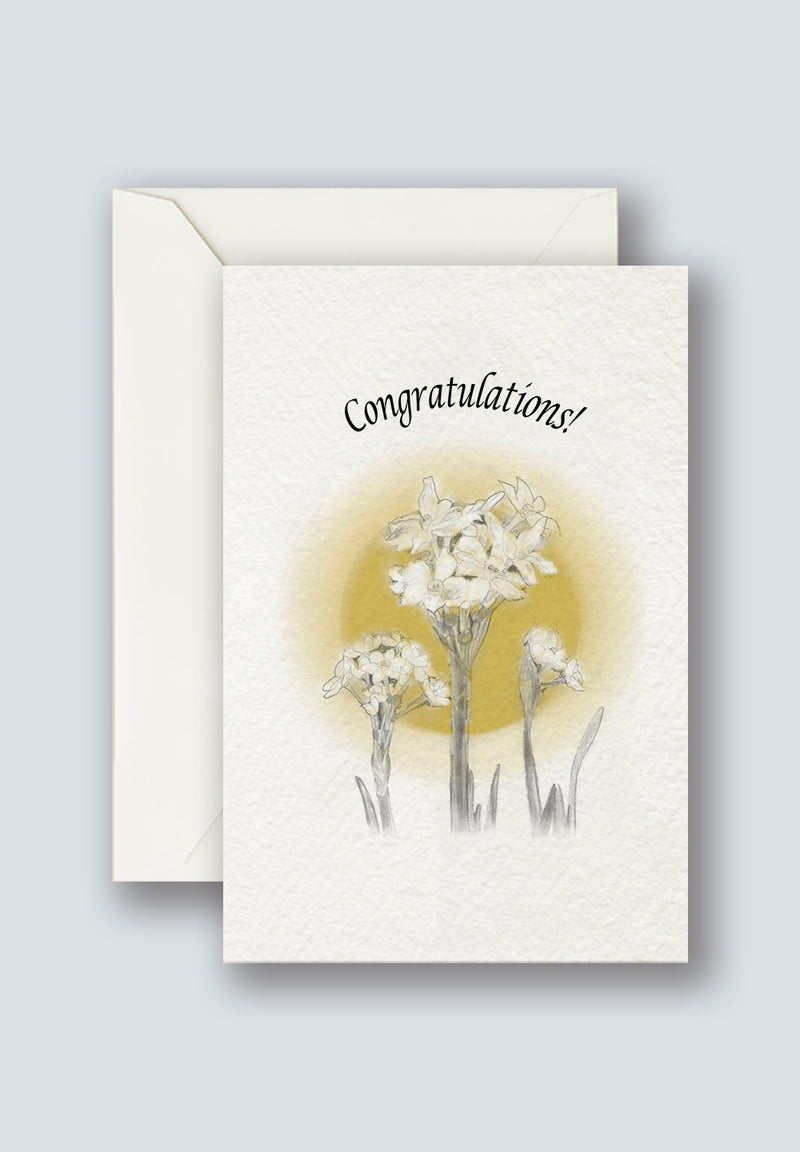 lily for Graduation Greeting Card