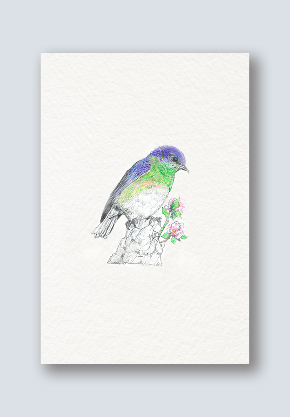 Bird Sighting Greeting Cards