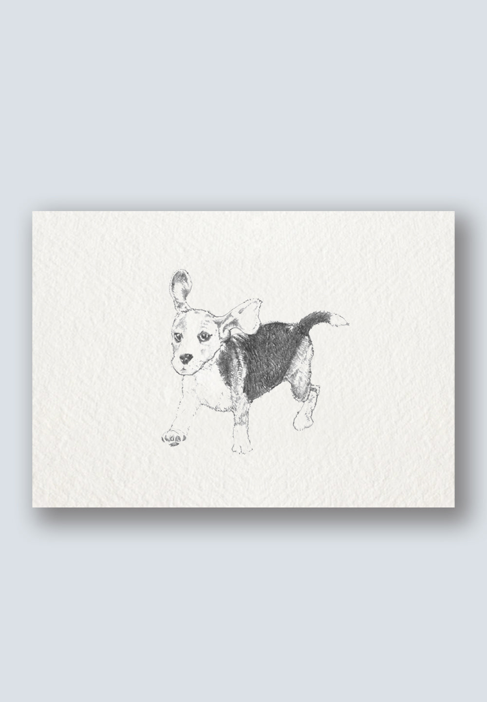 Canine Crew Greeting Cards