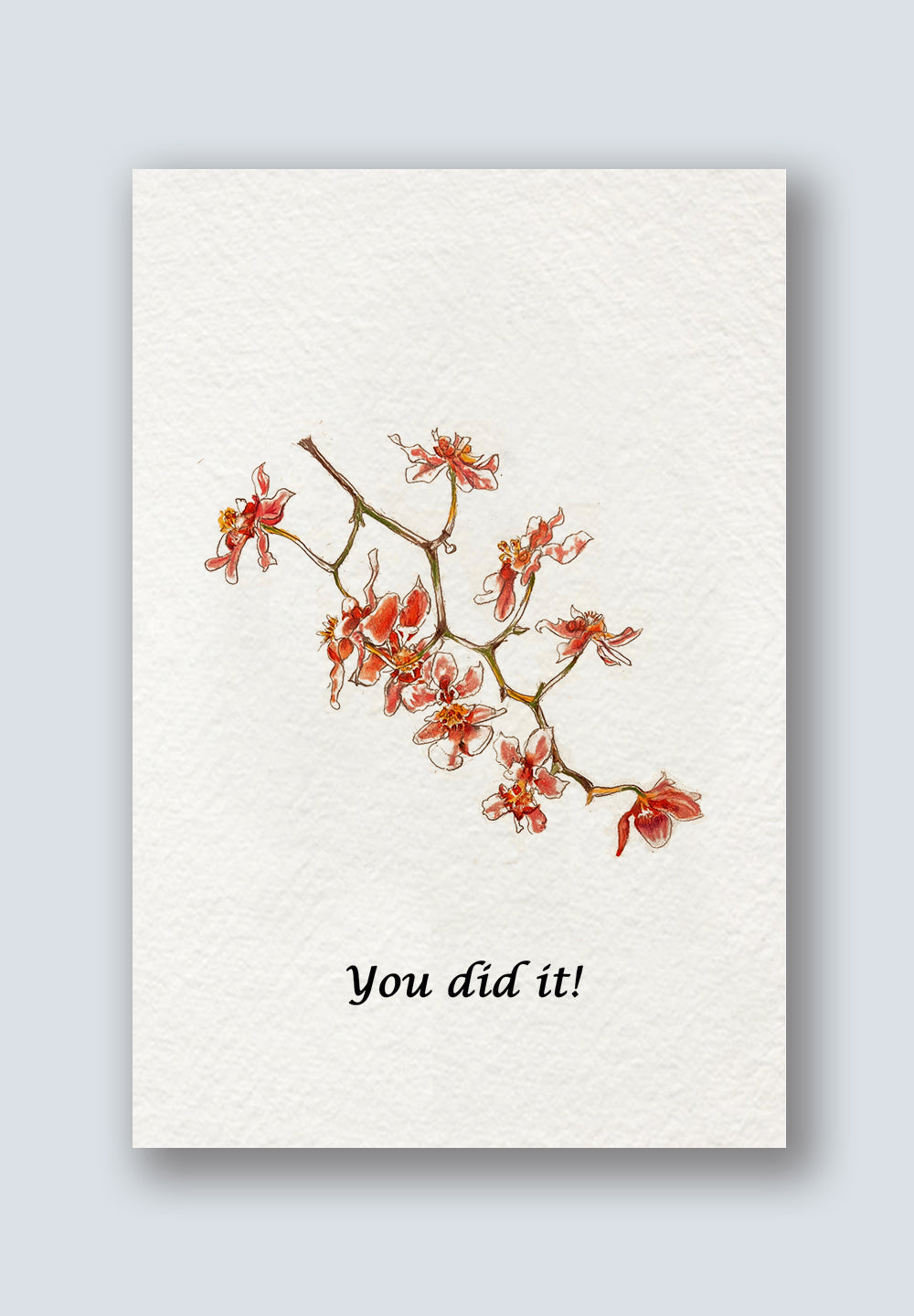 Orchid Greeting Cards