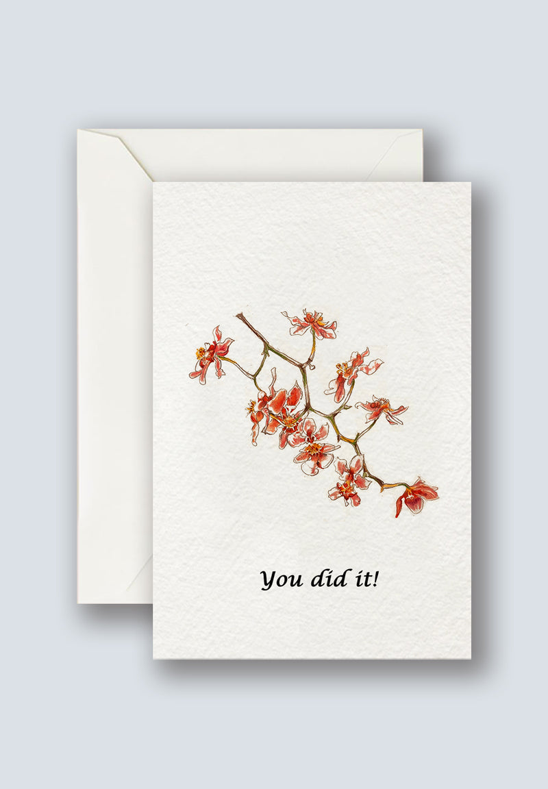 Orchid Greeting Cards 1