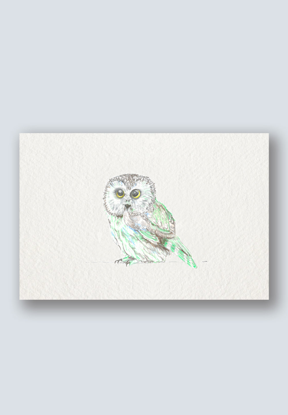 Bird Sighting Greeting Cards