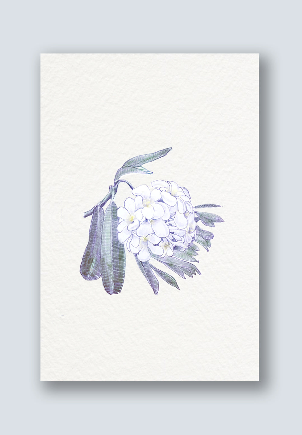 Flower Greeting Cards