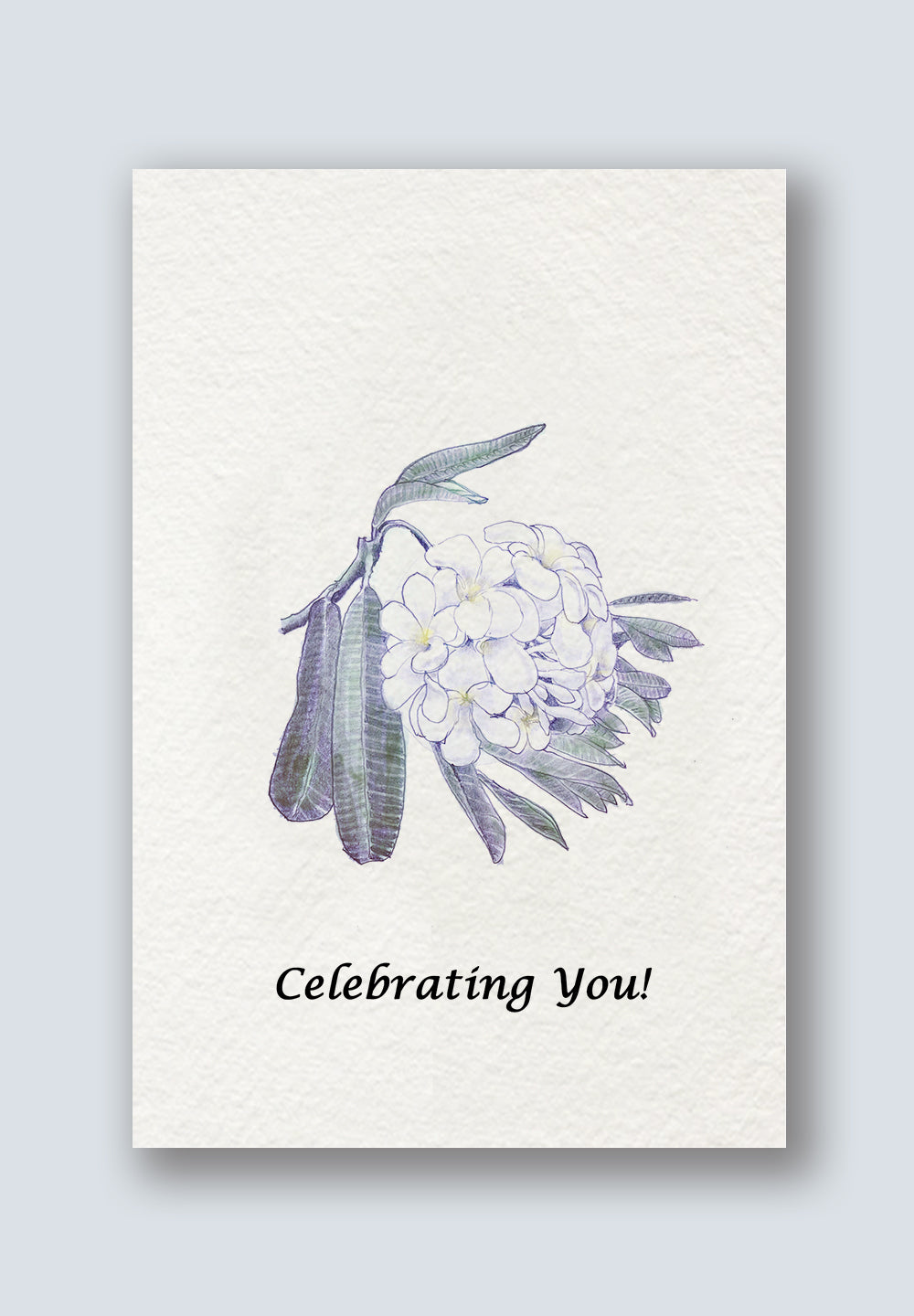Plumeria Greeting Cards 2