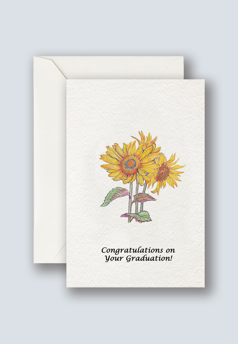 Sunflower Greeting Cards 1
