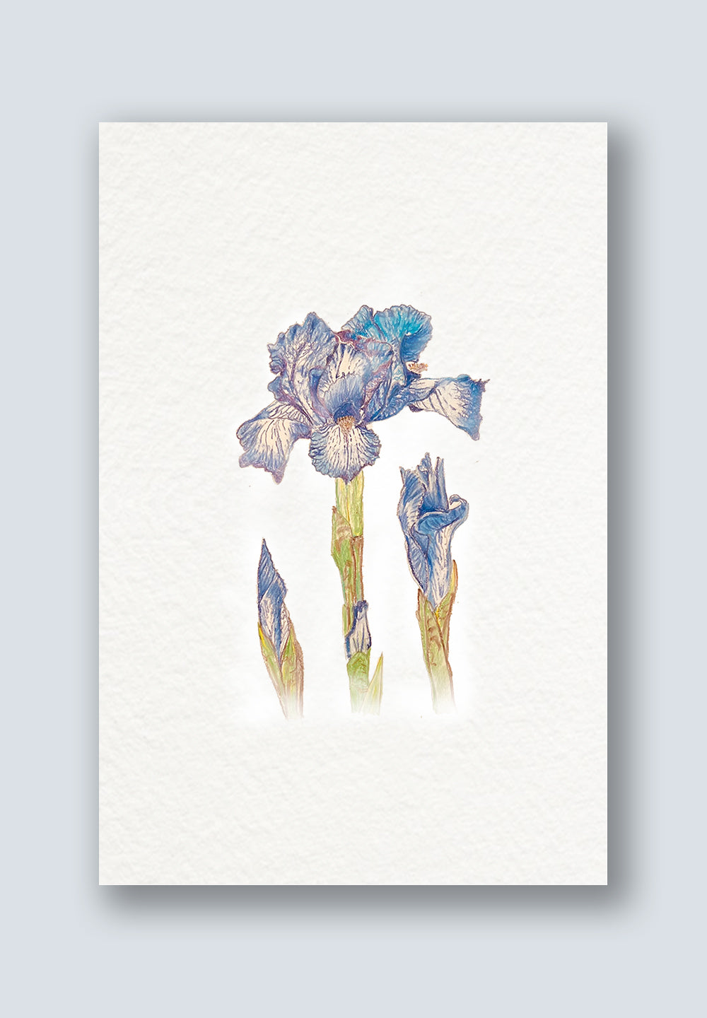 Flower Greeting Cards