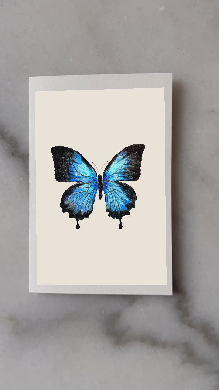 eCard AR Interactive Blue Butterfly Birthday Greeting Card video