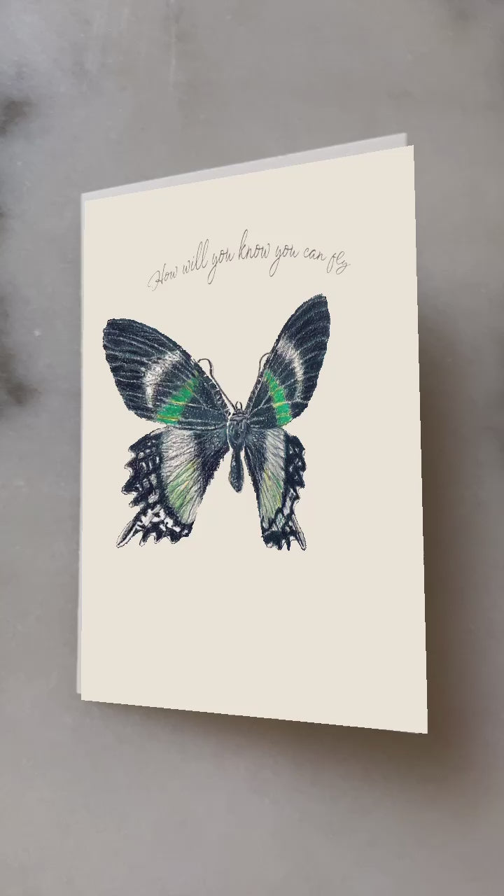 eCard AR Interactive Green Butterfly Greeting Card video