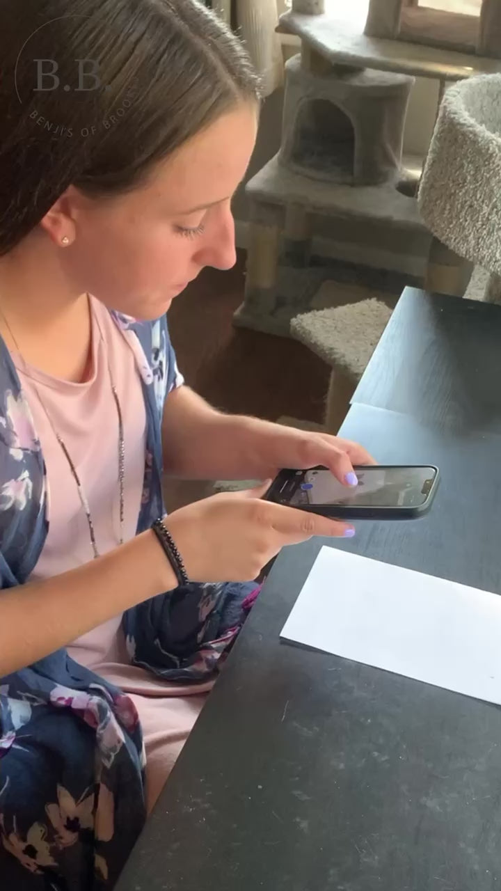 Yellow Butterfly Video