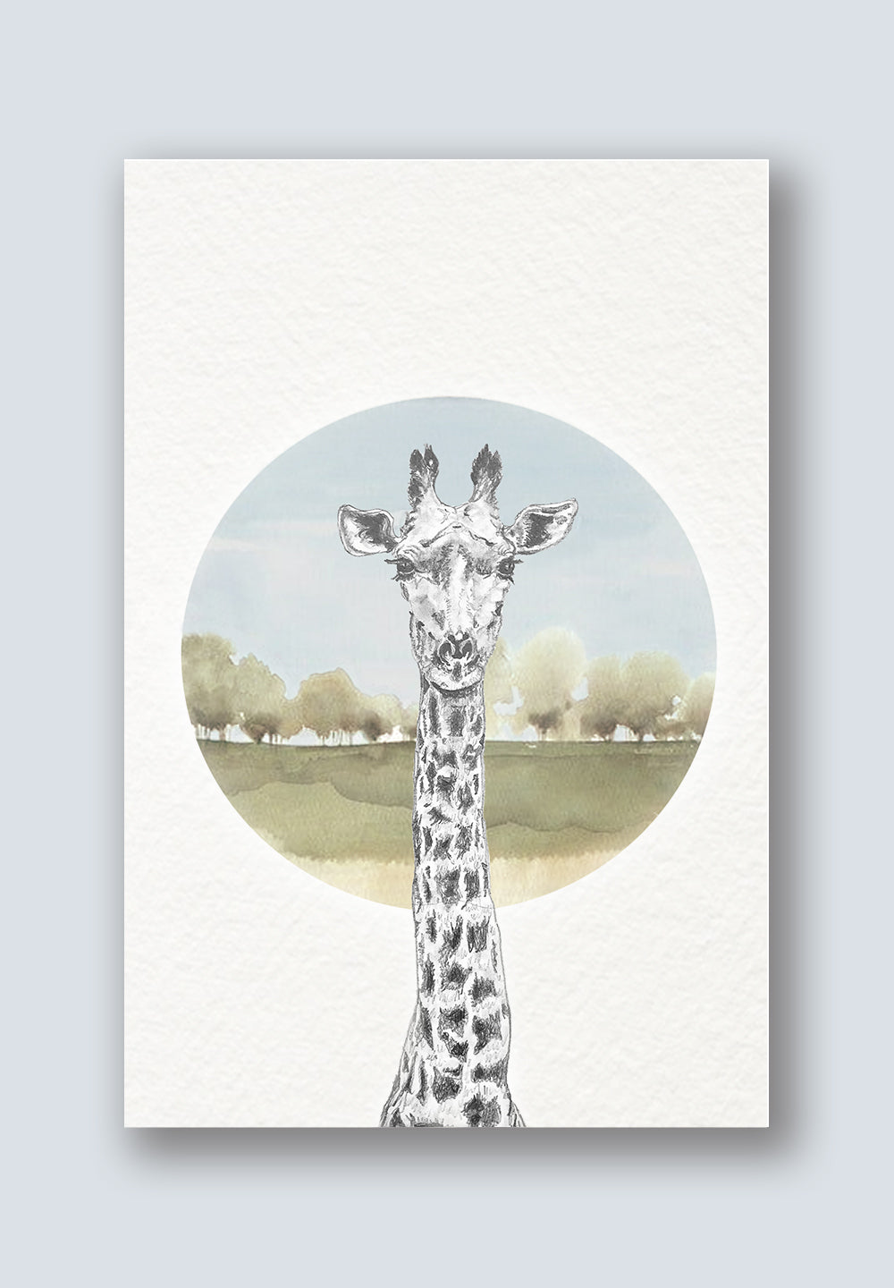 Giraffe Greeting Cards