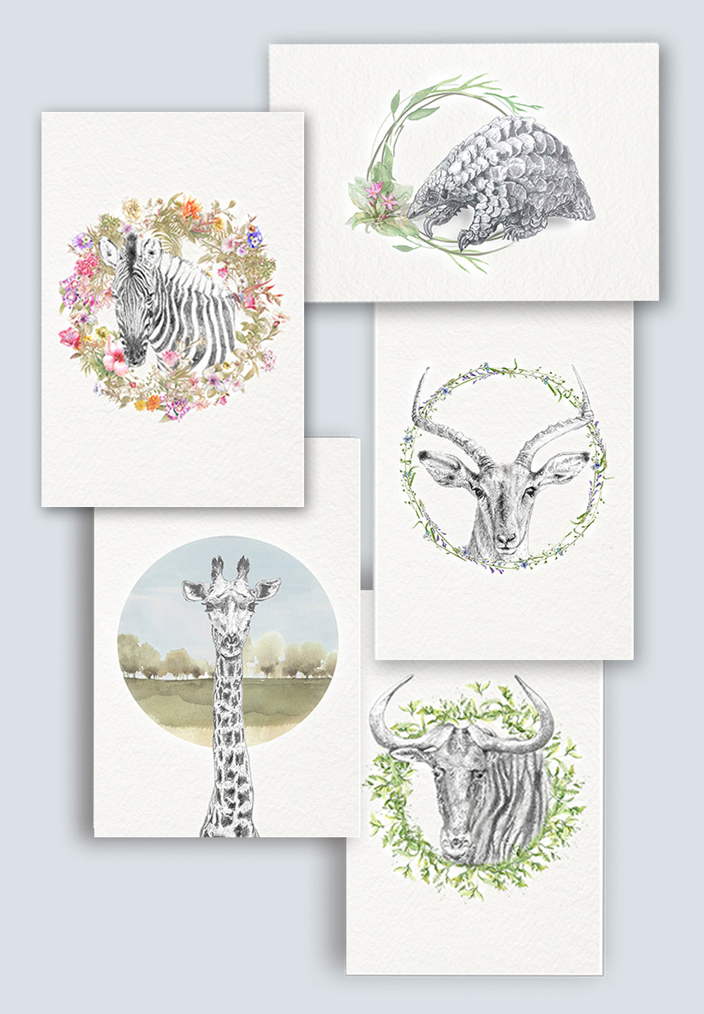 Wildcard Greeting Cards