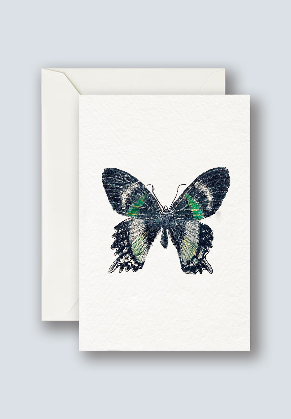 AR Interactive Green Butterfly Greeting Card Collections