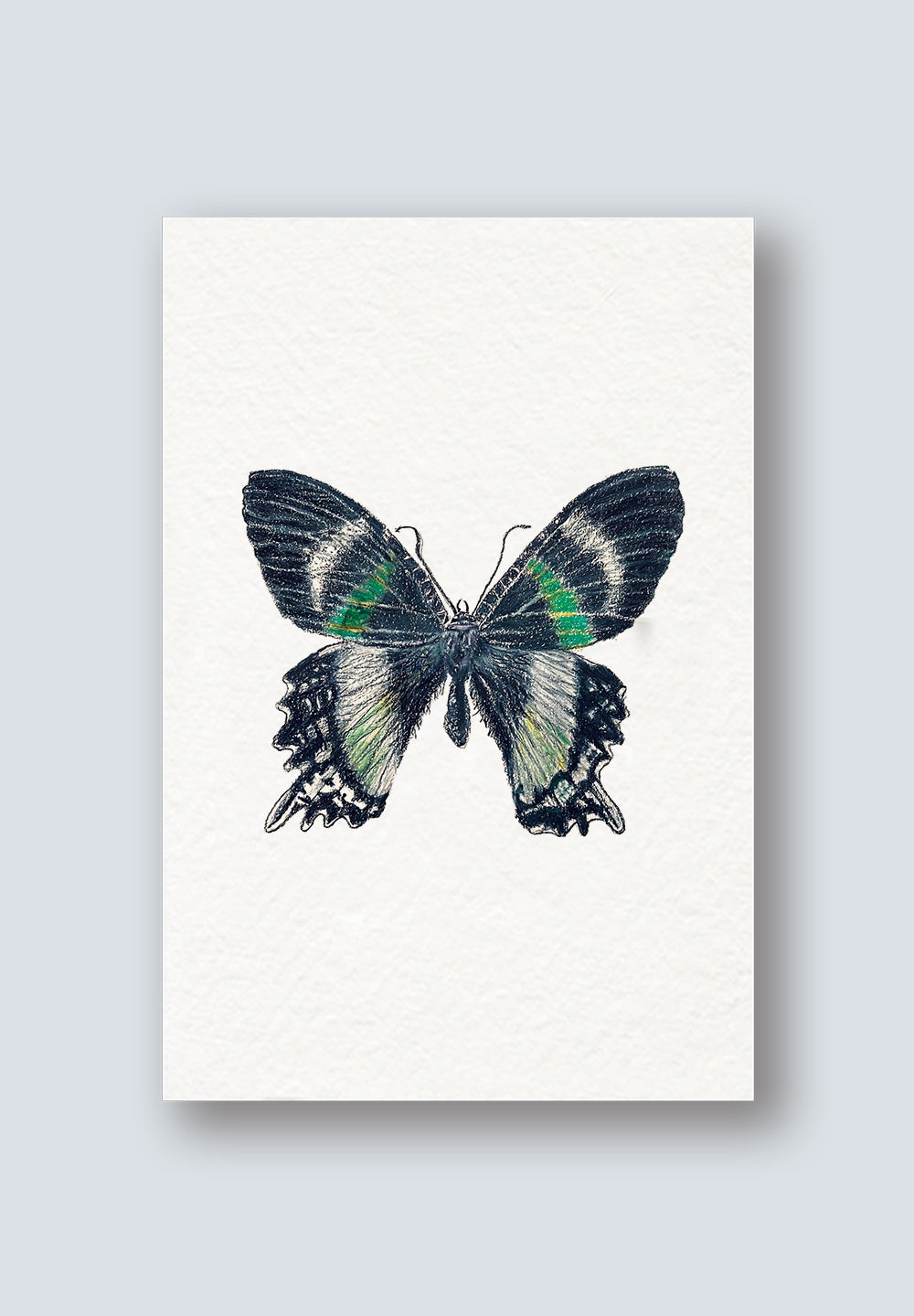 AR Interactive Green Butterfly Greeting Card
