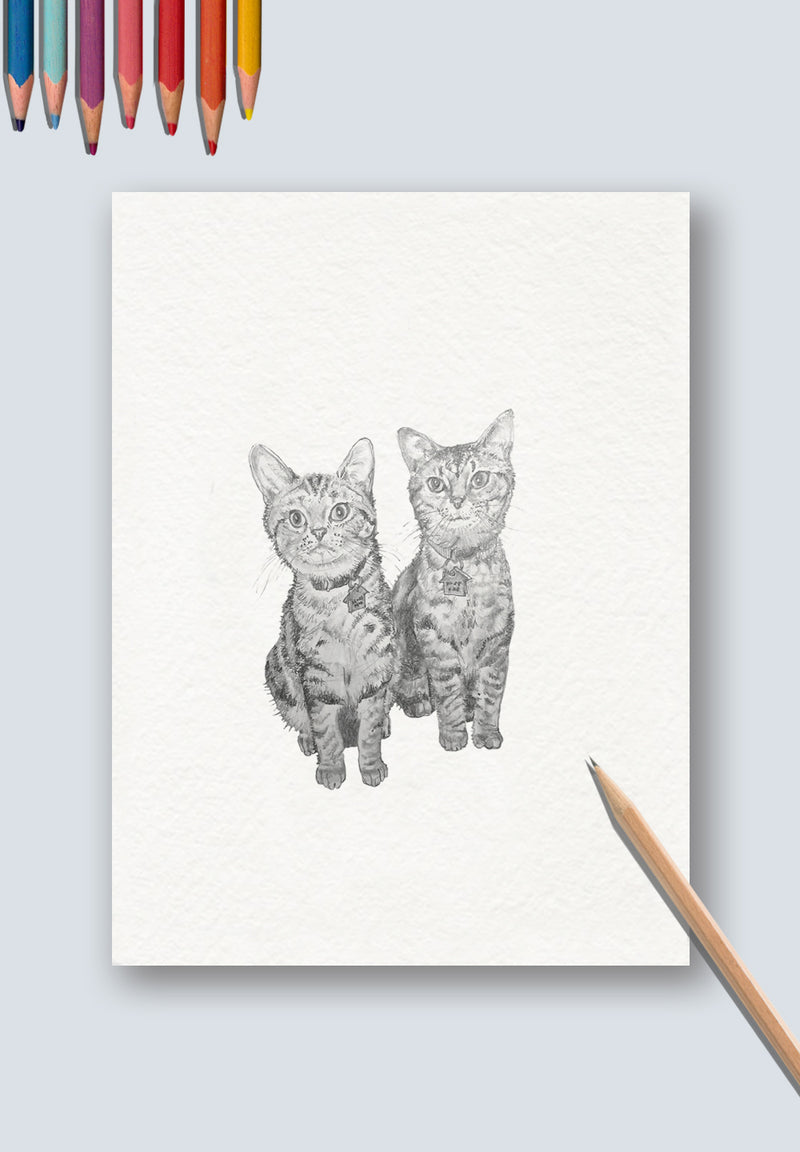 tabbies Cat Art Print