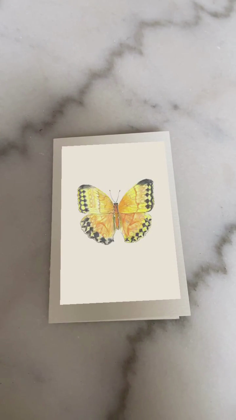AR Interactive Butterfly Greeting Card Video