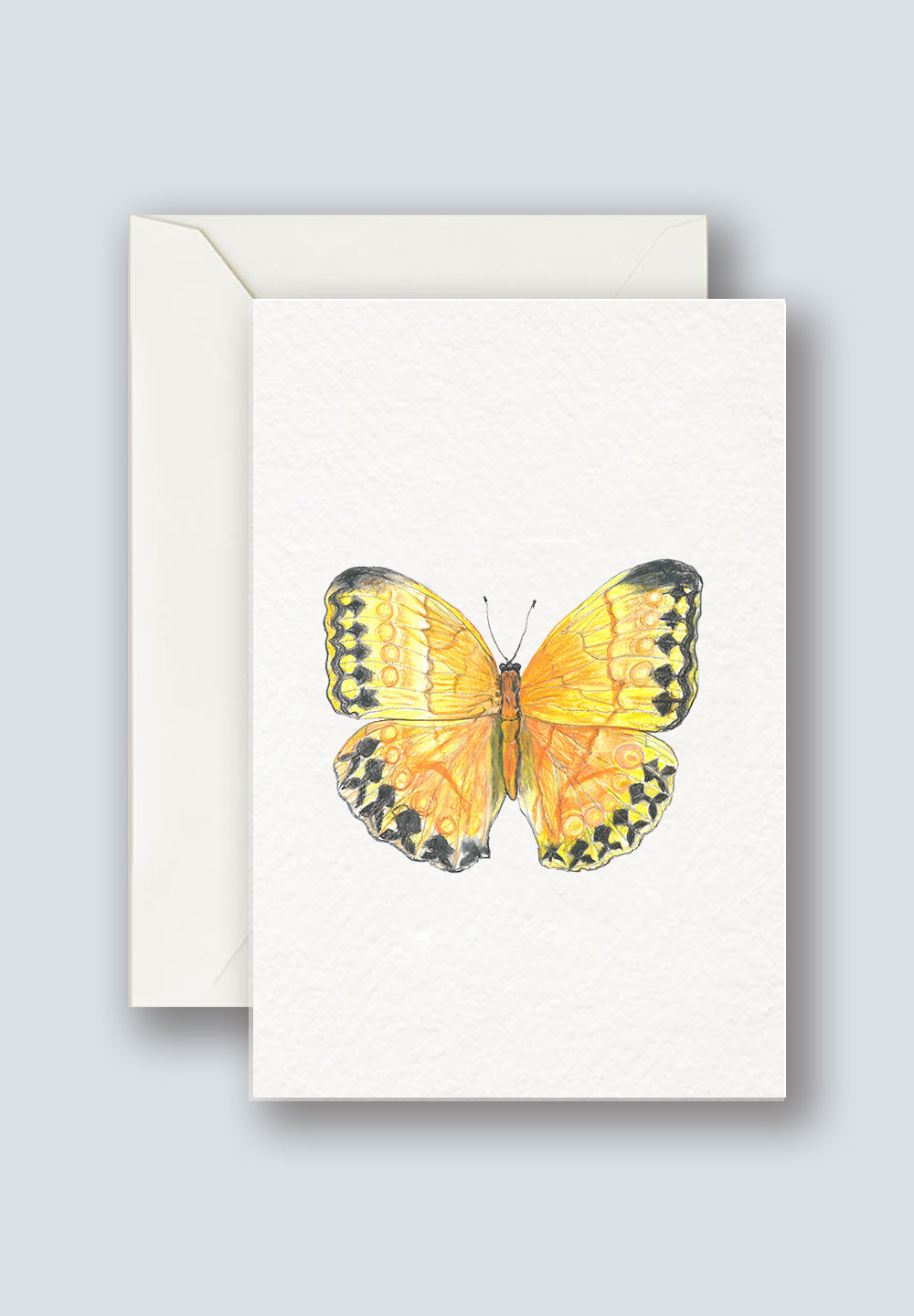 Butterfly Greeting Card