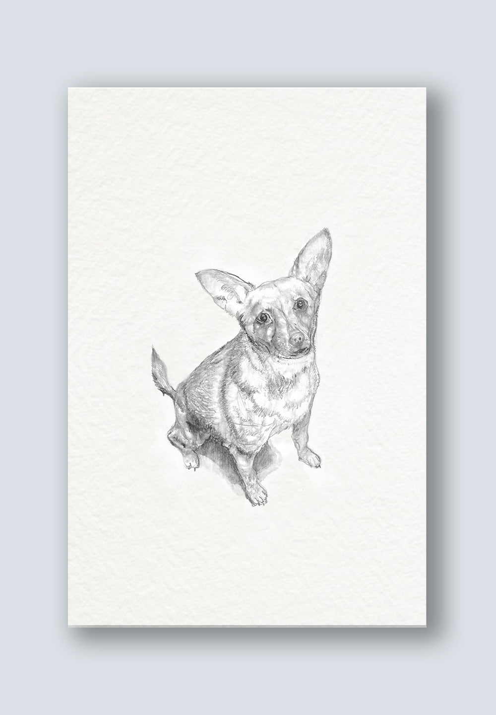 Canine Crew Greeting Cards