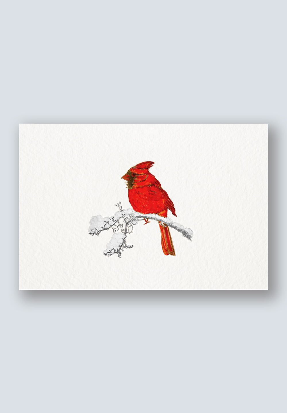 Bird Sighting Greeting Cards