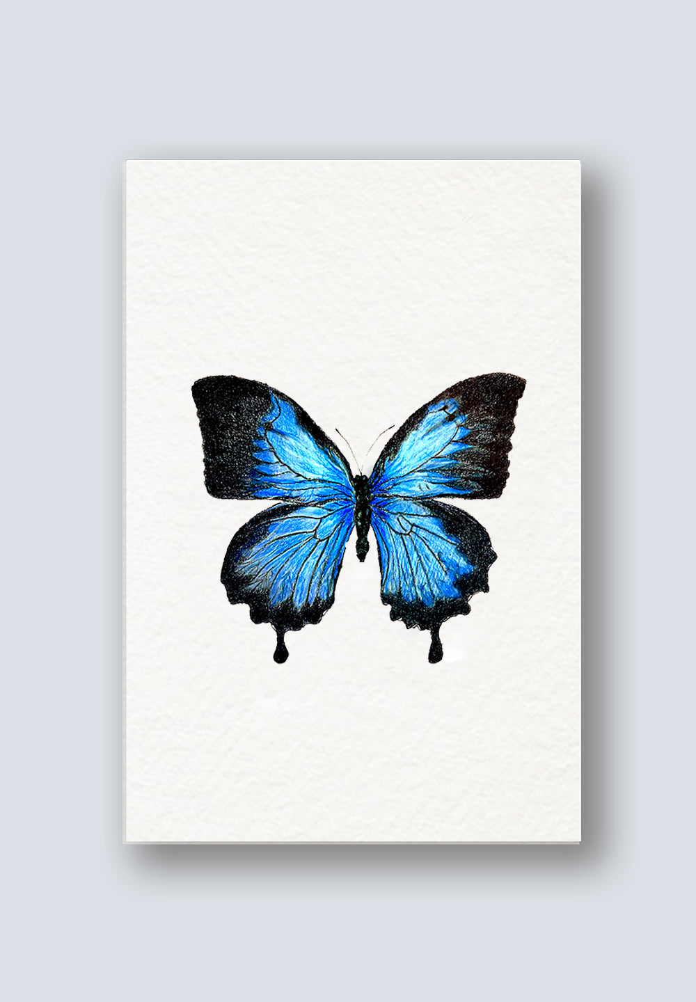 eCard Blue Butterfly Birthday Greeting Card 