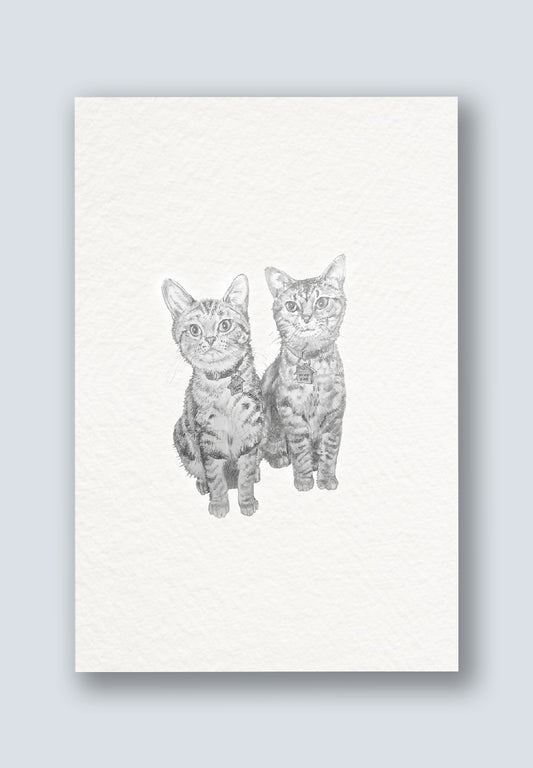 Cute Cat Greeting Cards