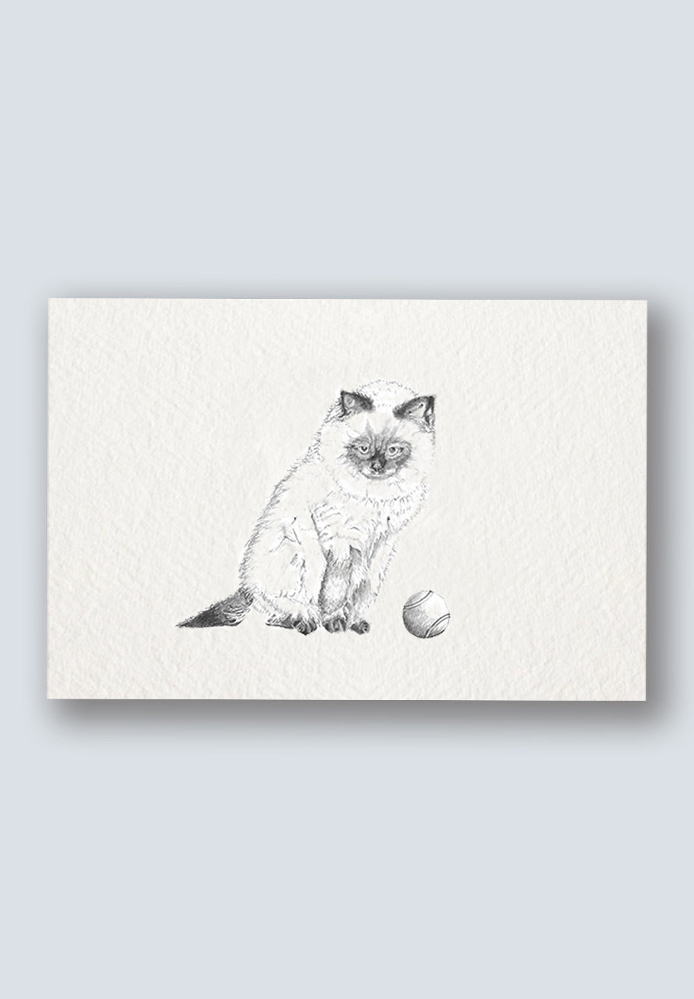 Cute Cat Greeting Cards