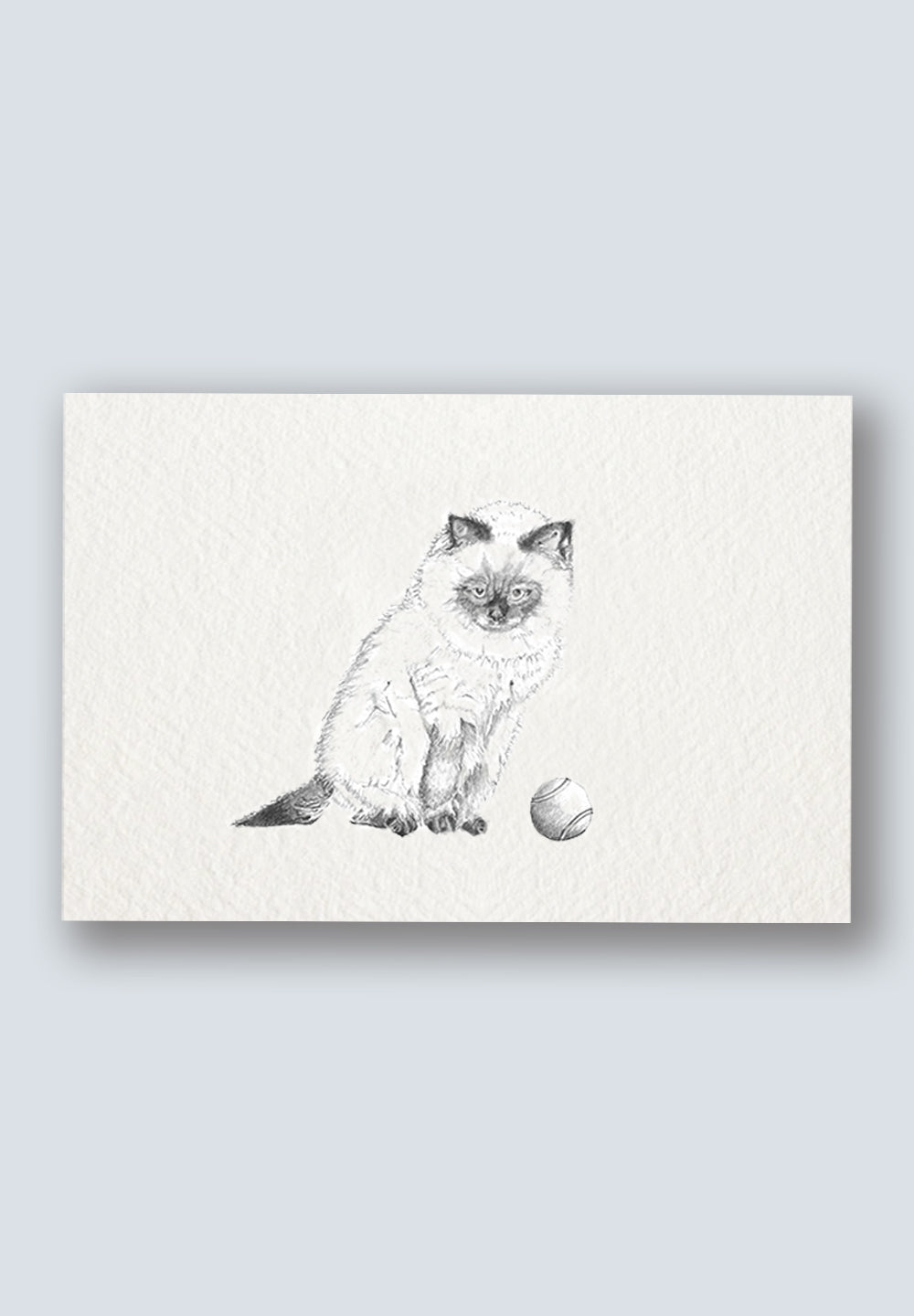 Himalayan Cat Greeting Card