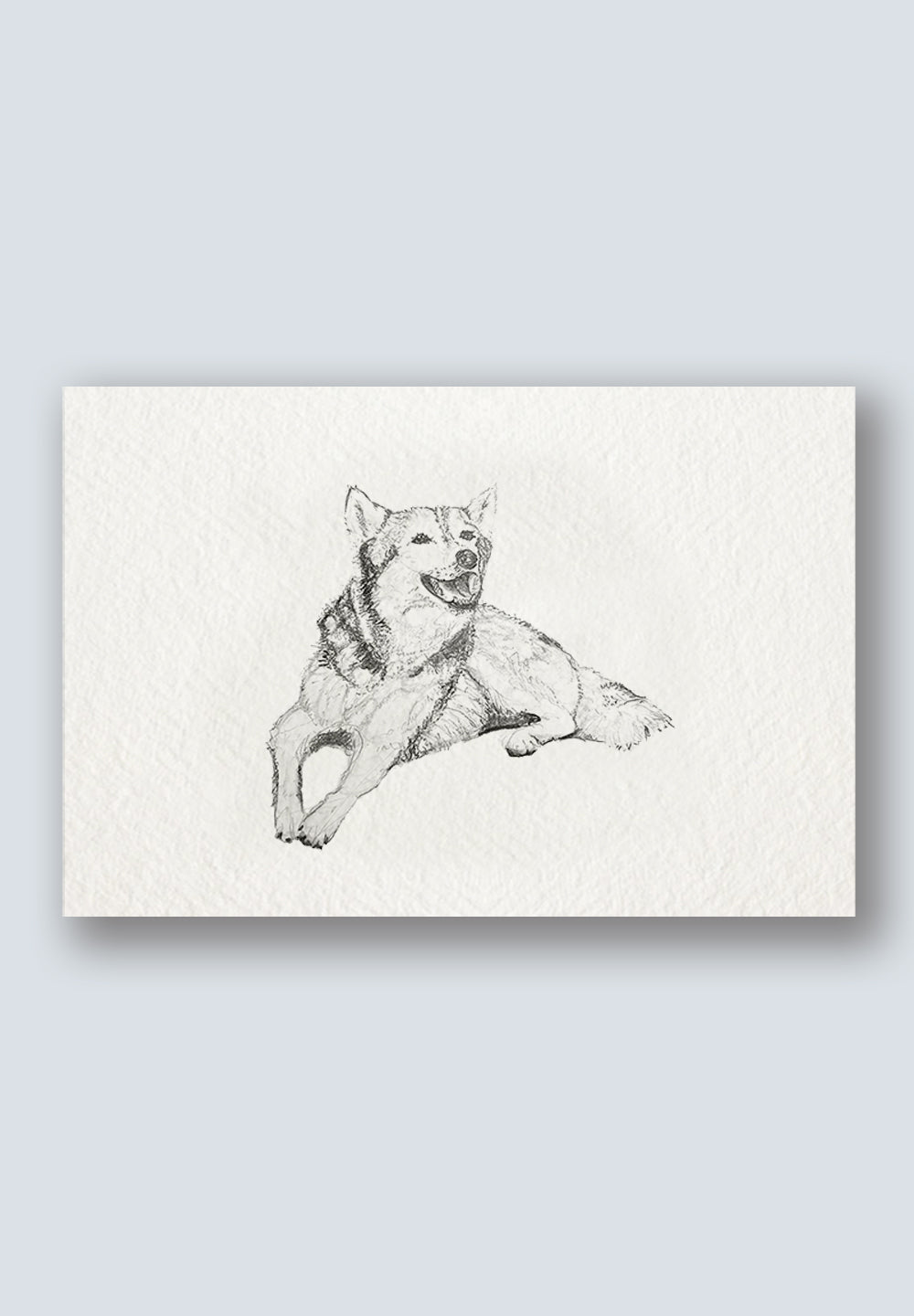 Max Greeting Card