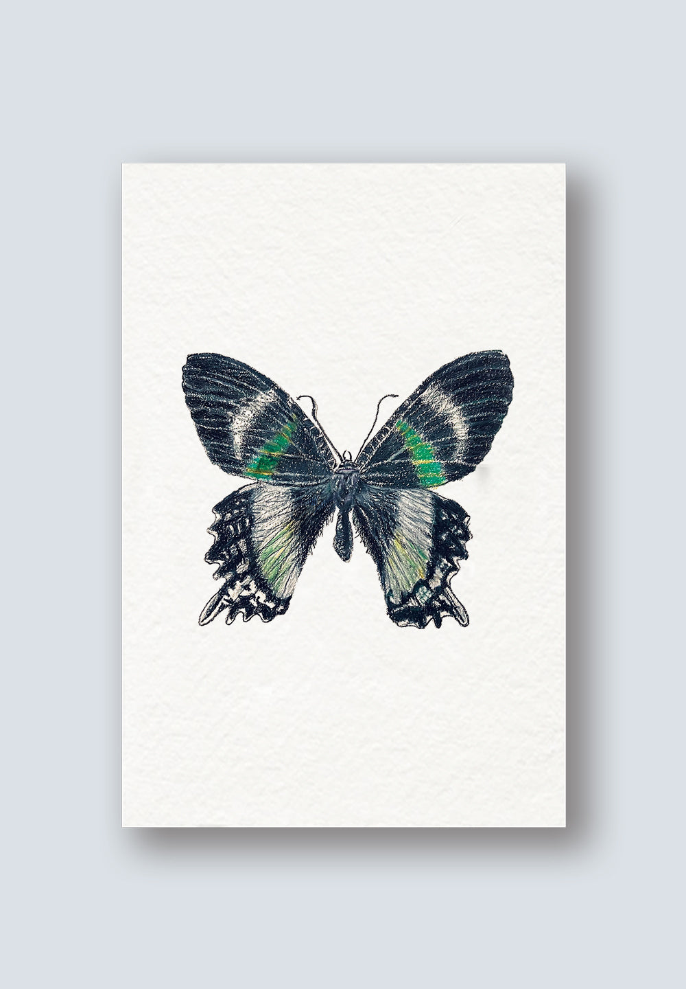 eCard Green Butterfly Greeting Card 