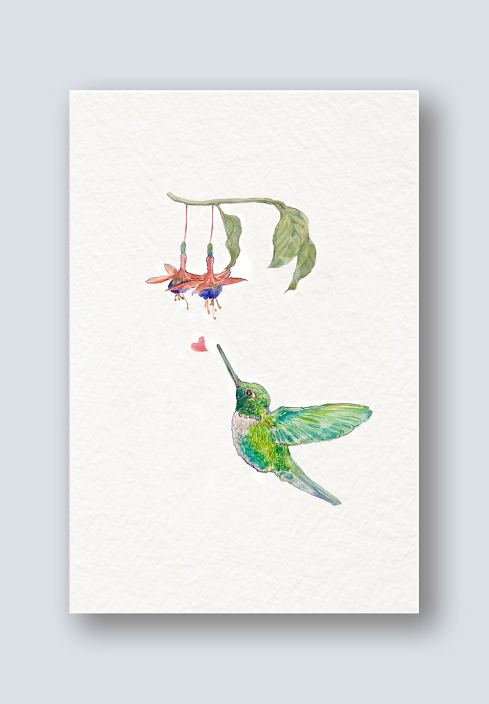 hummingbird greeting card