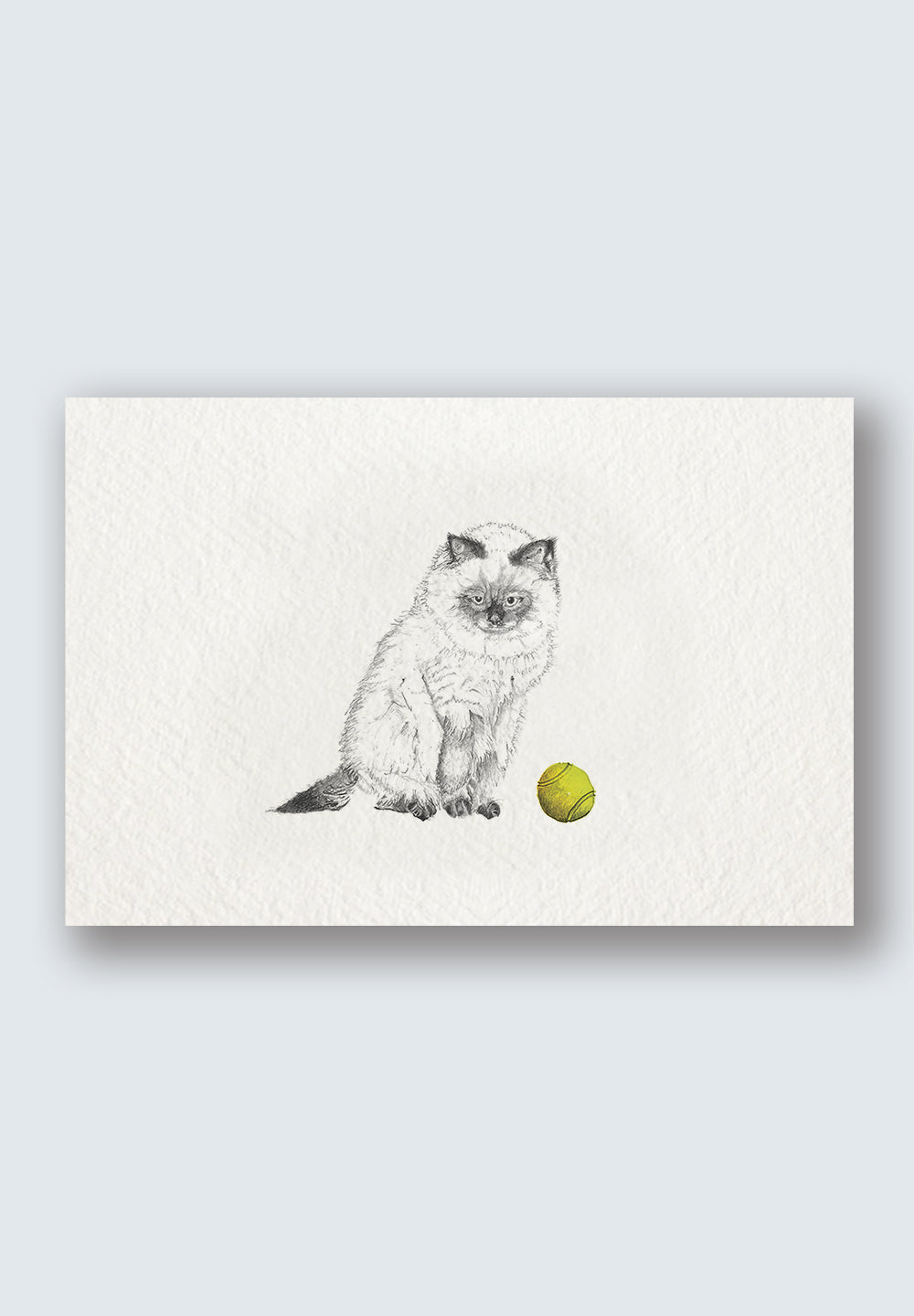 Smoky the Himalayan Cat Card