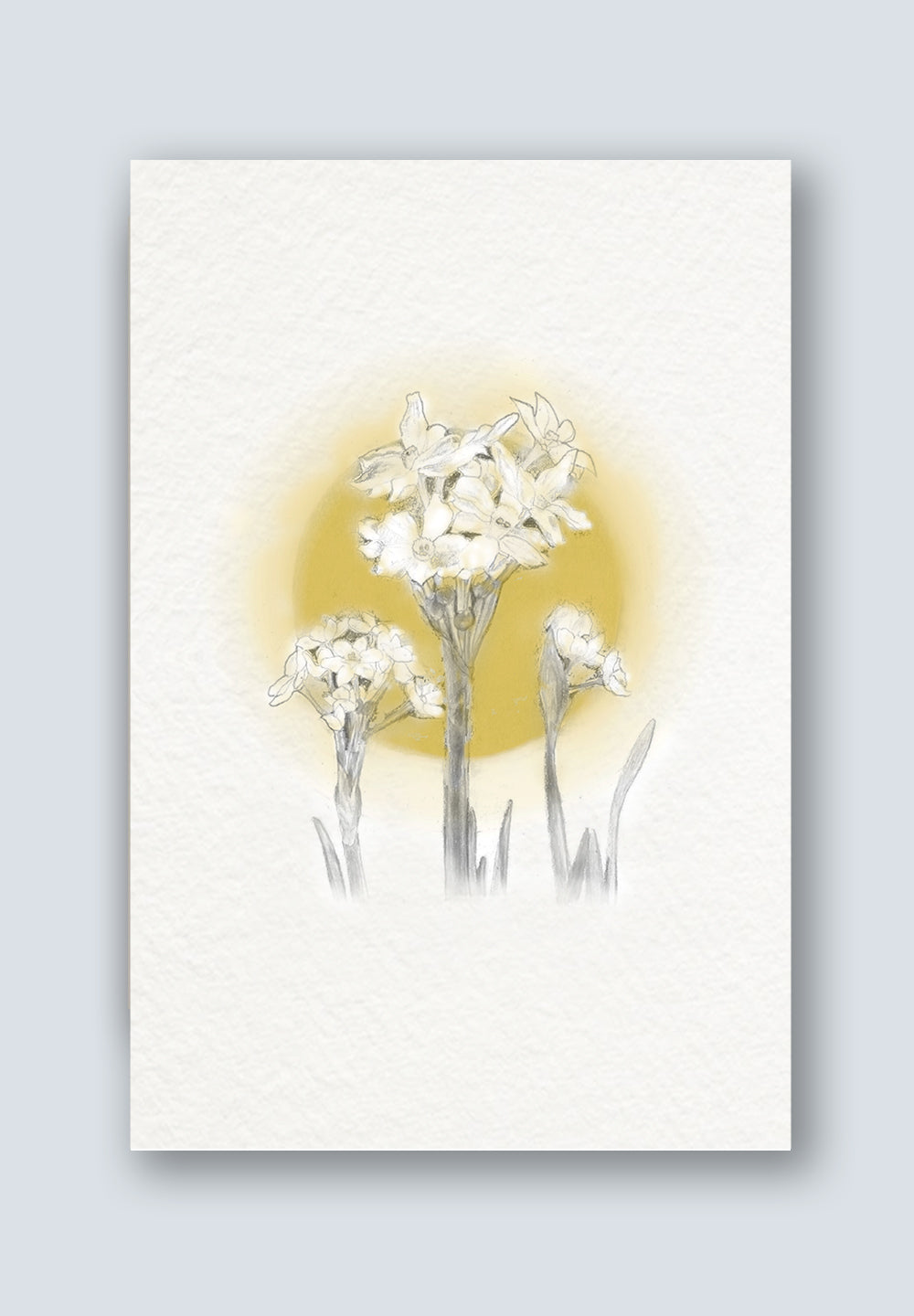 Iris Greeting Card