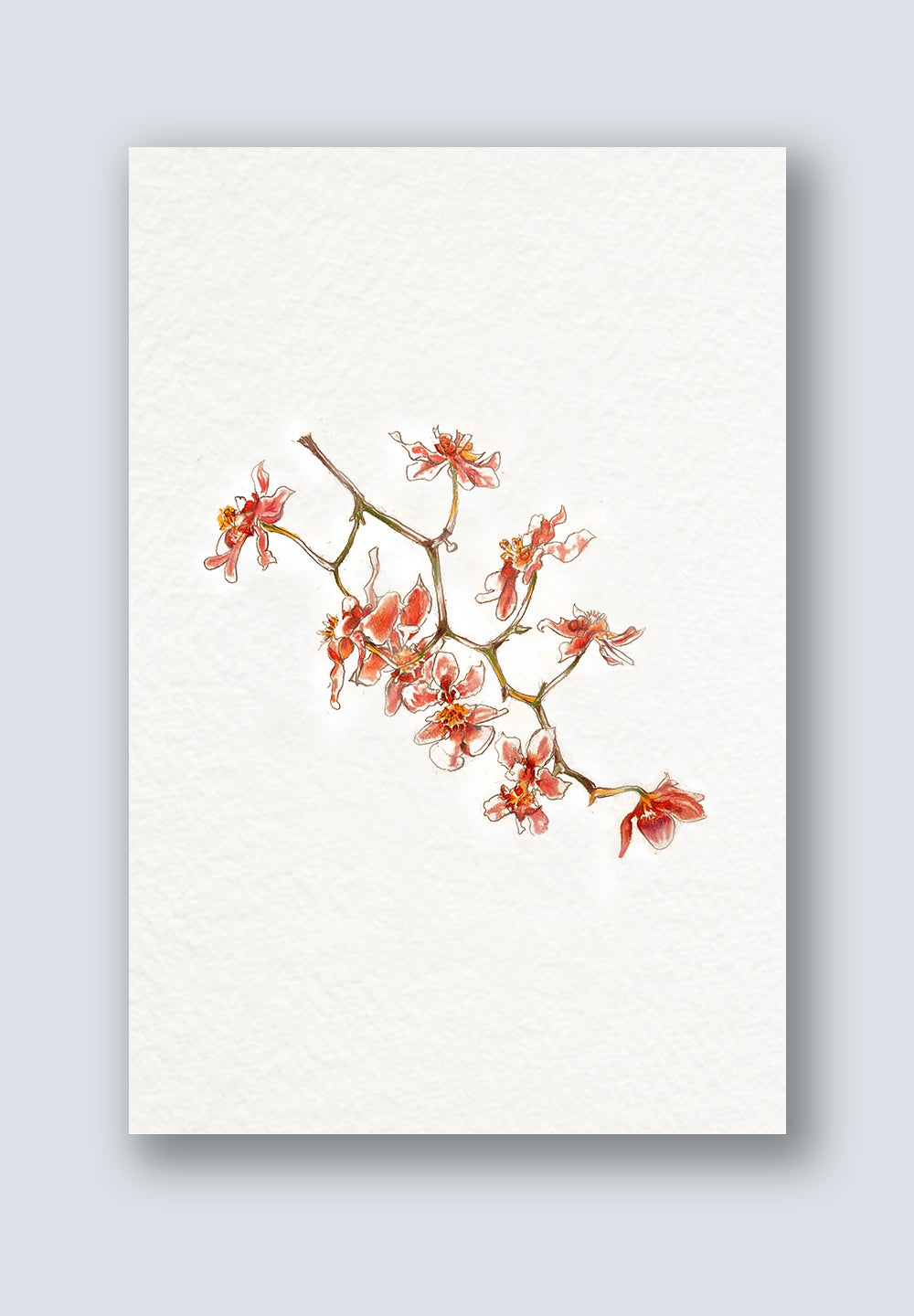 Orchid Greeting Card