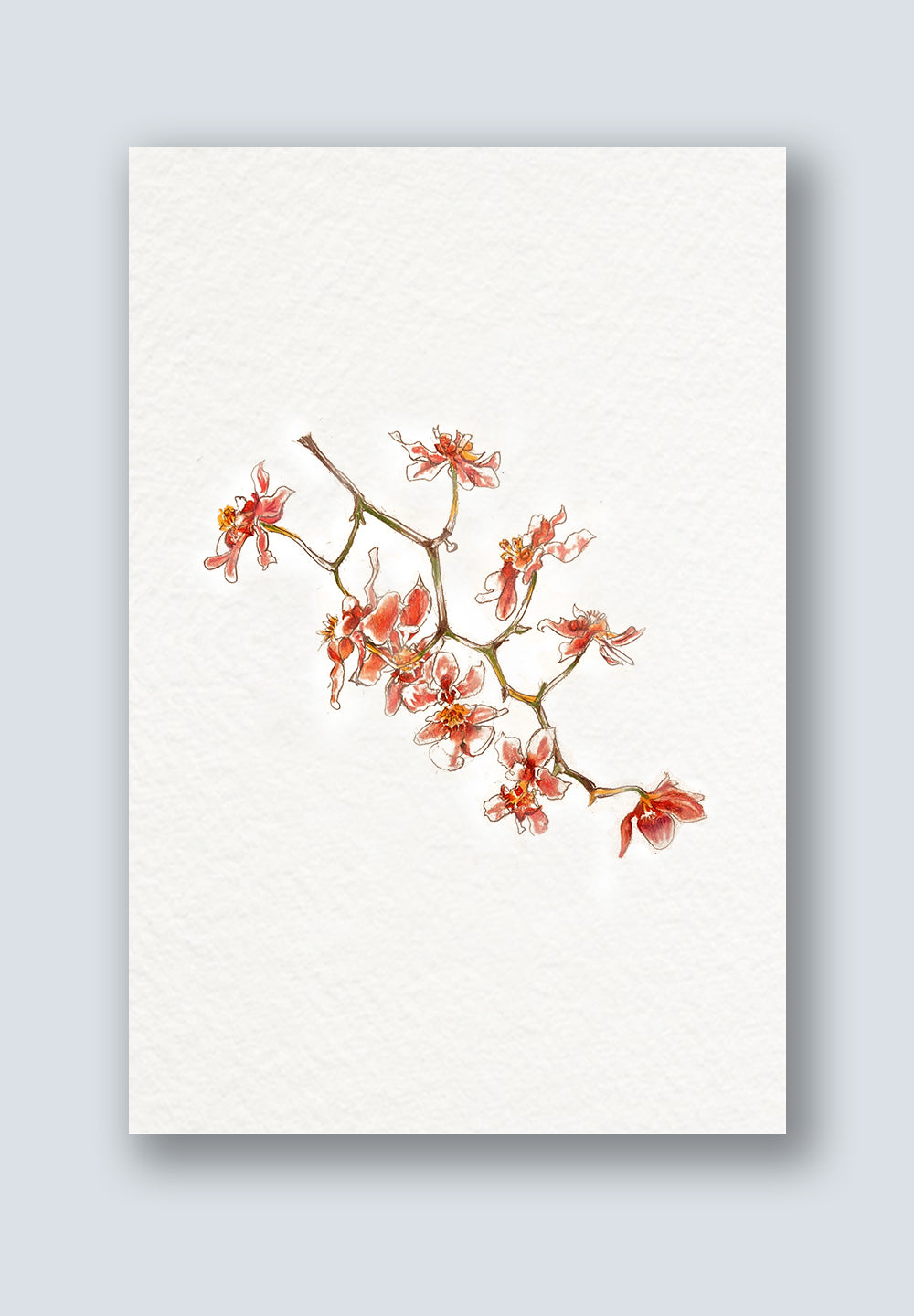 Orchid Greeting Cards - Graduation Greeting Card