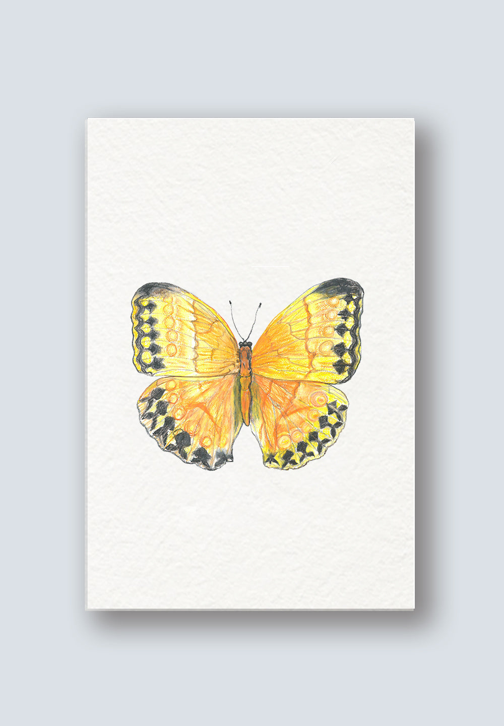 Yellow Butterfly Greeting Card 