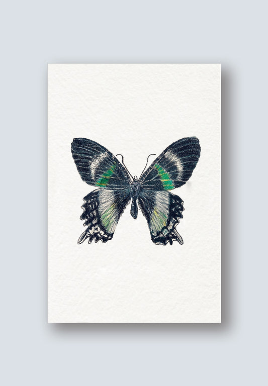 AR Interactive Butterfly Greeting Card - How will you know you can fly if you've never spread your wings?