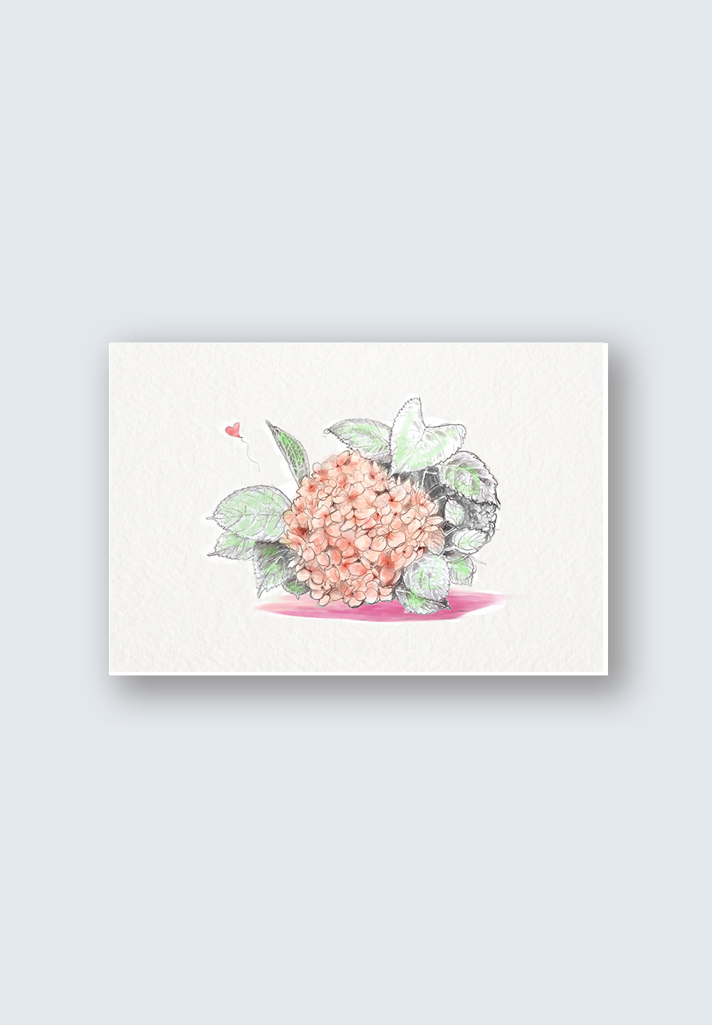 Hydrangea - Love Collection - Mother's Day