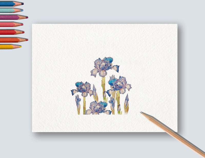 Miragi AR Wall Art - Irises