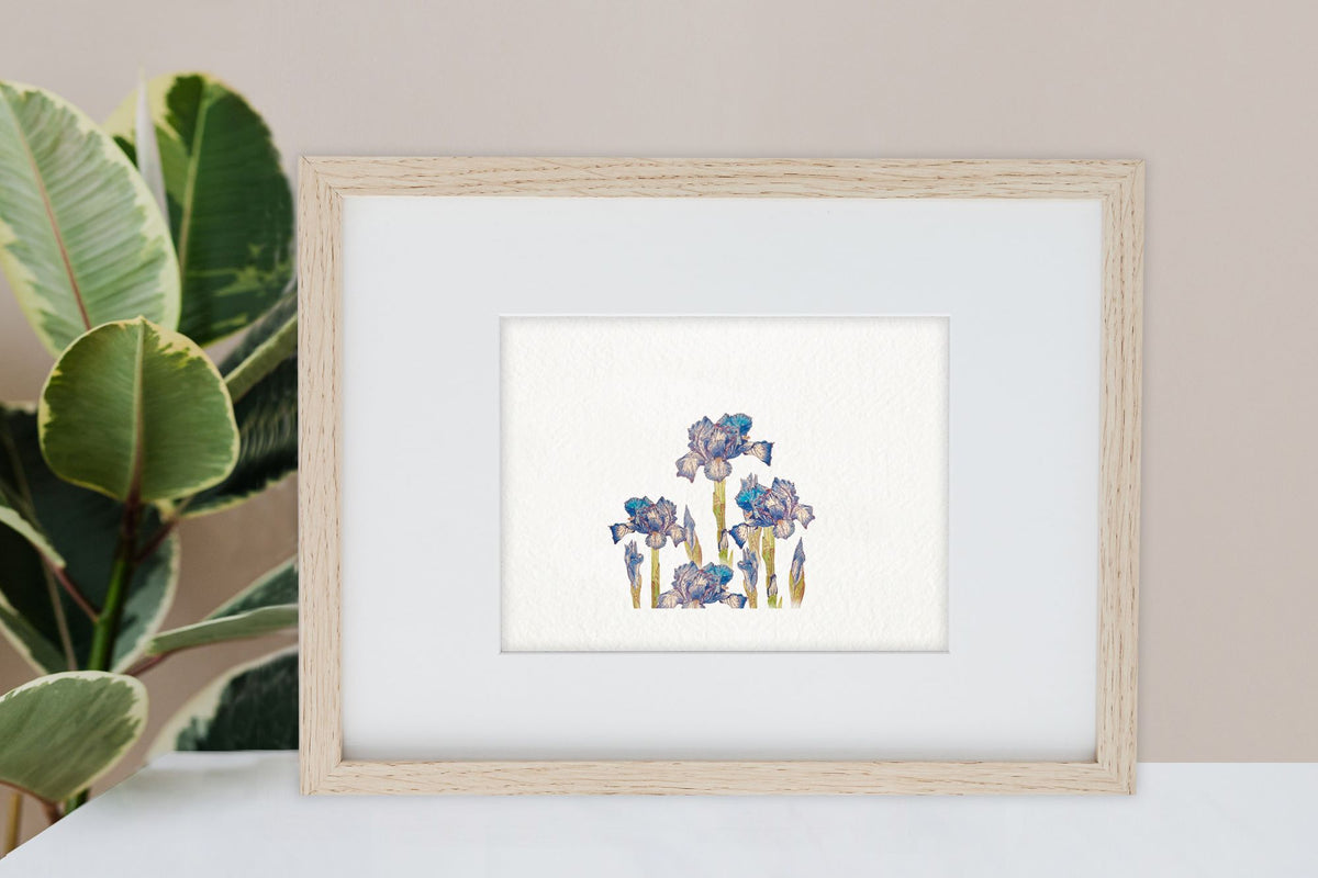Miragi AR Wall Art - Irises