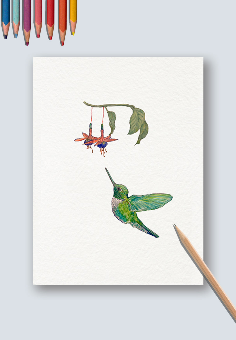 Hummingbird Art Print