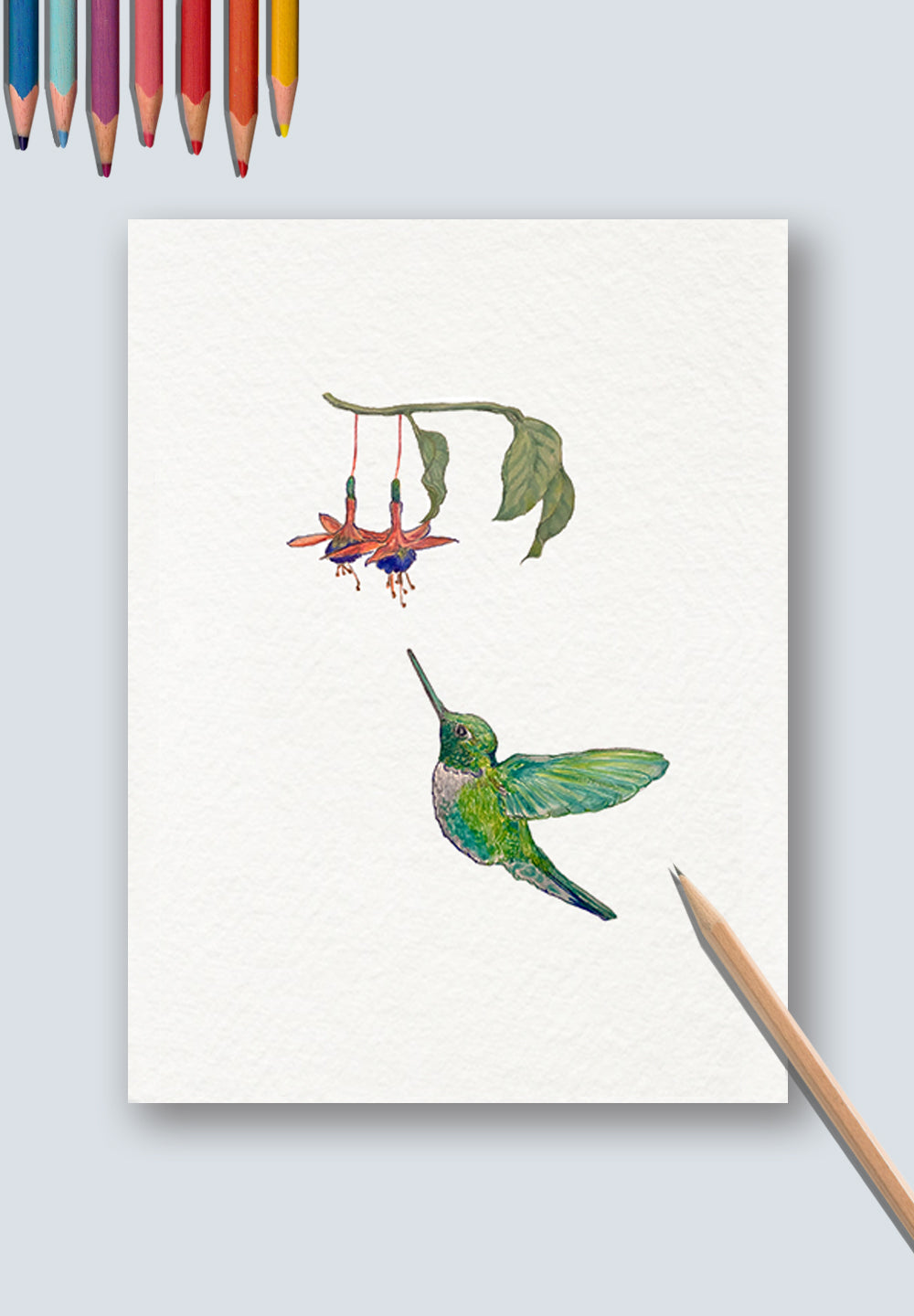 Hummingbird Art